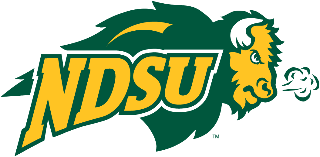 North Dakota State Bison 2005-2011 Secondary Logo v2 diy DTF decal sticker